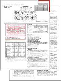 電子添文